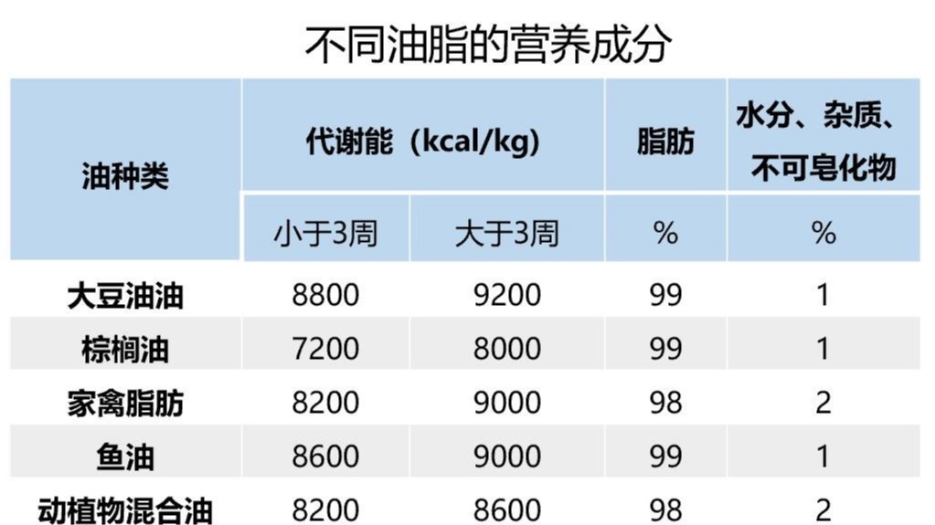 遠卓農牧蛋雞養(yǎng)殖自動化設備：油脂在蛋雞上的應用及質量控制措施