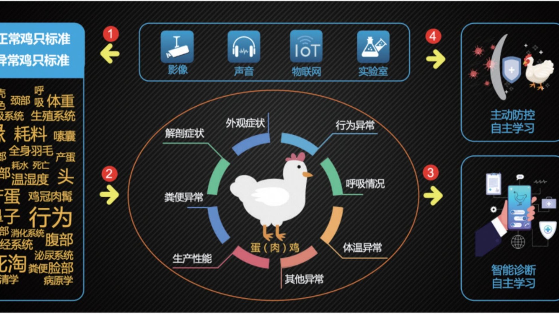 中國特色規(guī)模蛋雞養(yǎng)殖家禽獸醫(yī)發(fā)展方向
