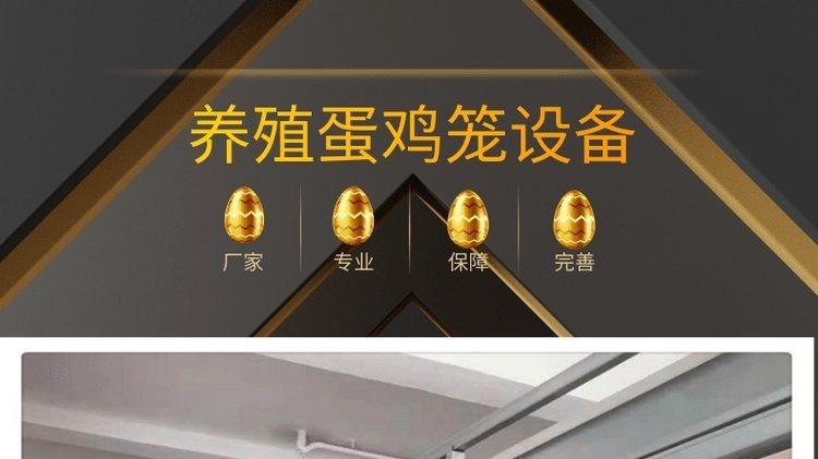 遠(yuǎn)卓農(nóng)牧蛋雞籠養(yǎng)養(yǎng)殖現(xiàn)場/產(chǎn)蛋雞猝死 / 不要讓籠養(yǎng)蛋雞太“疲勞”