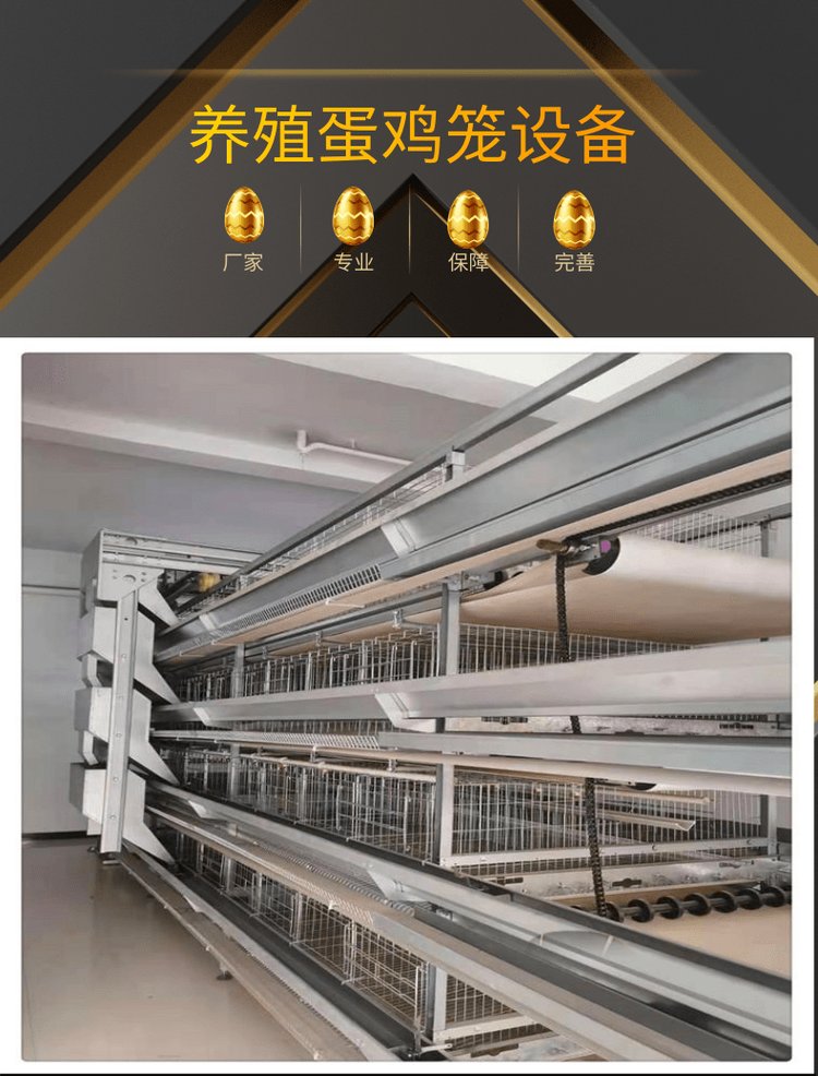 籠養(yǎng)蛋雞的通風(fēng)問題，怎么做才能盡可能的給雞群提供更好的環(huán)境？