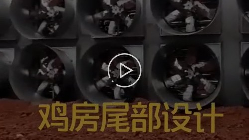 雞舍尾部設(shè)計(jì)