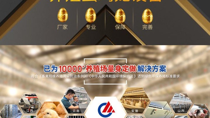 大規(guī)模蛋雞養(yǎng)殖過程中秋季蛋雞要“進(jìn)補”，要“補啥”