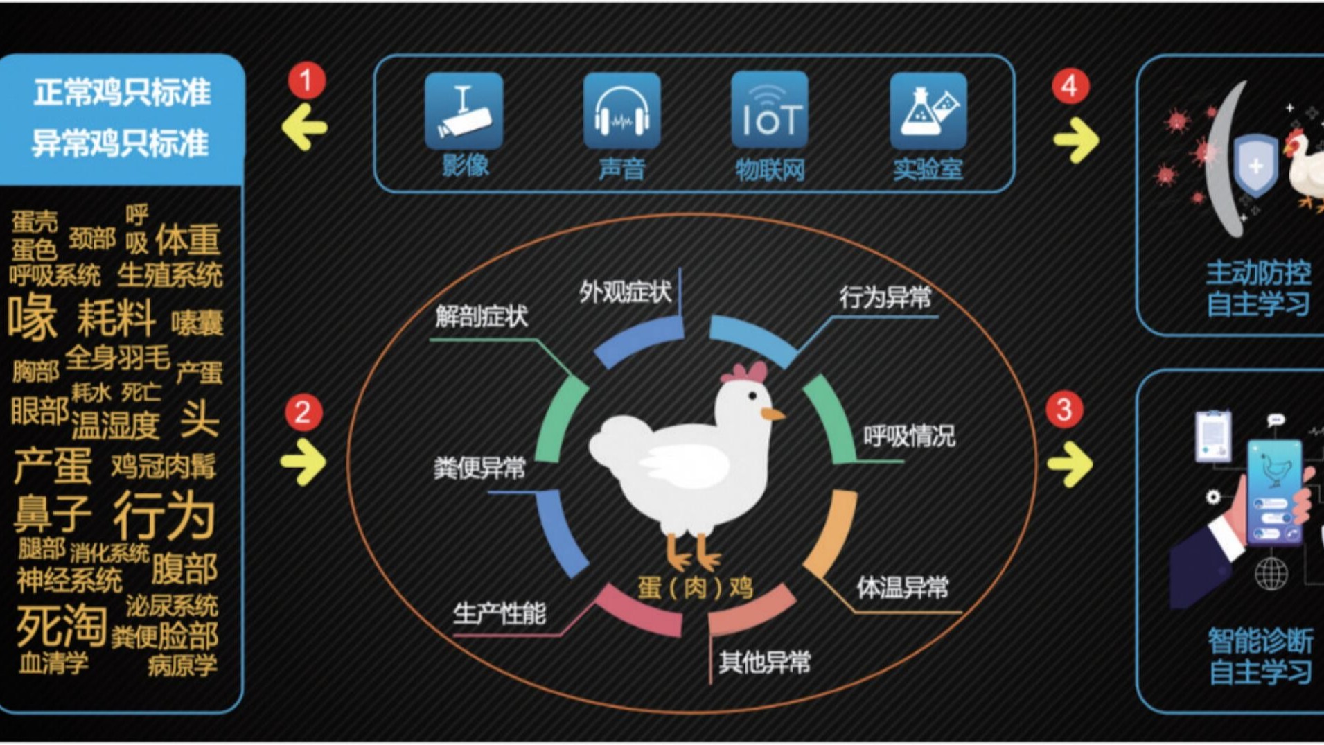 規(guī)模蛋雞養(yǎng)殖場(chǎng)冬春換季，如何防止蛋雞產(chǎn)蛋率下滑？