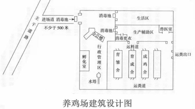 蛋雞養(yǎng)殖養(yǎng)雞場選址的三個原則和六大關(guān)鍵點(diǎn)