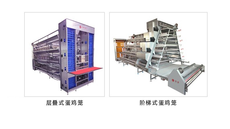 籠養(yǎng)蛋雞的通風(fēng)問題，怎么做才能盡可能的給雞群提供更好的環(huán)境？