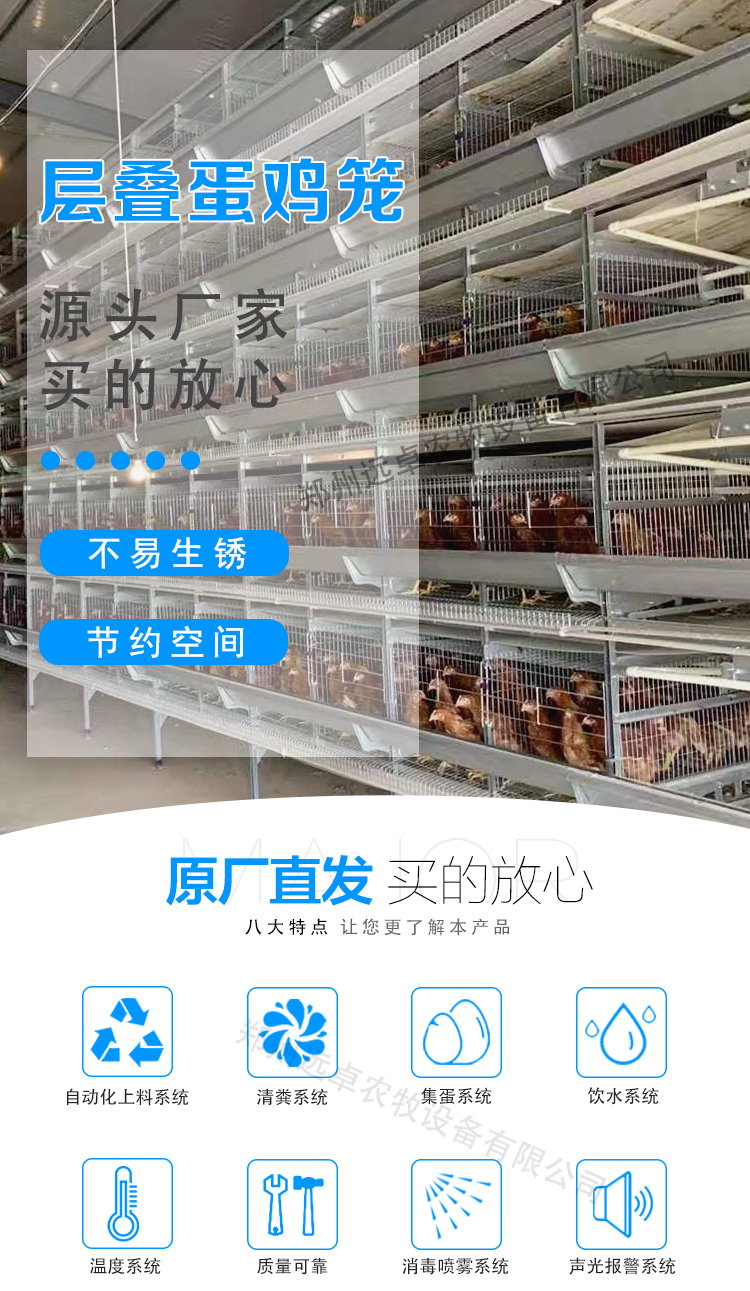 蛋雞養(yǎng)殖的七不,蛋雞養(yǎng)殖的七注意