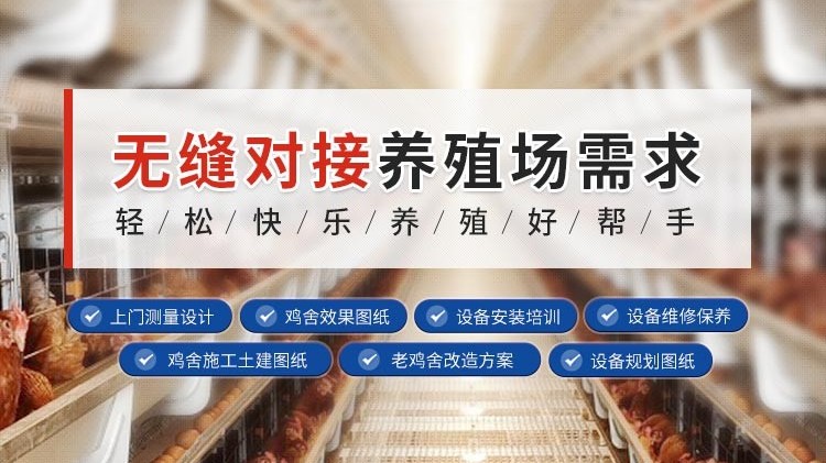 蛋雞為何要補光？要怎么補？我來教你這樣做