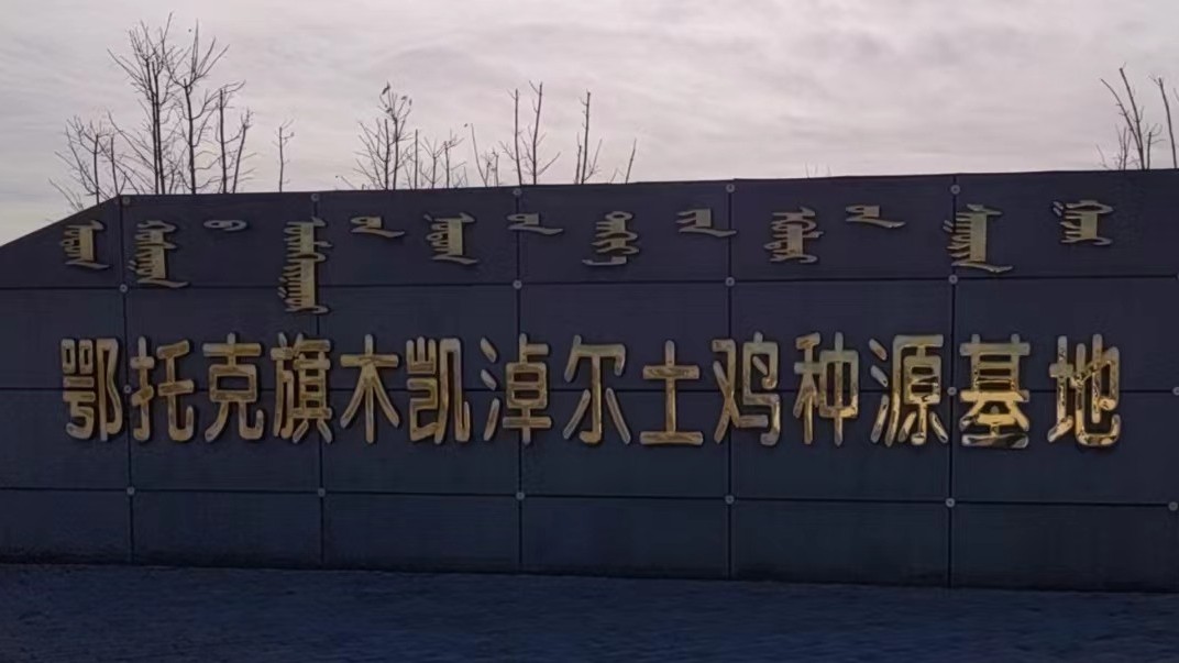 內(nèi)蒙古鄂托克旗木凱淖爾蛋雞養(yǎng)殖項目
