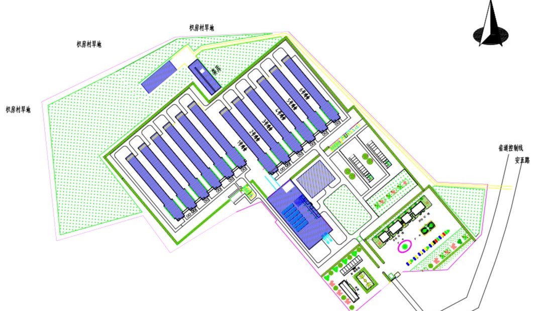 現(xiàn)代化雞舍建設(shè)之畜禽養(yǎng)殖場設(shè)計原則與規(guī)劃布局