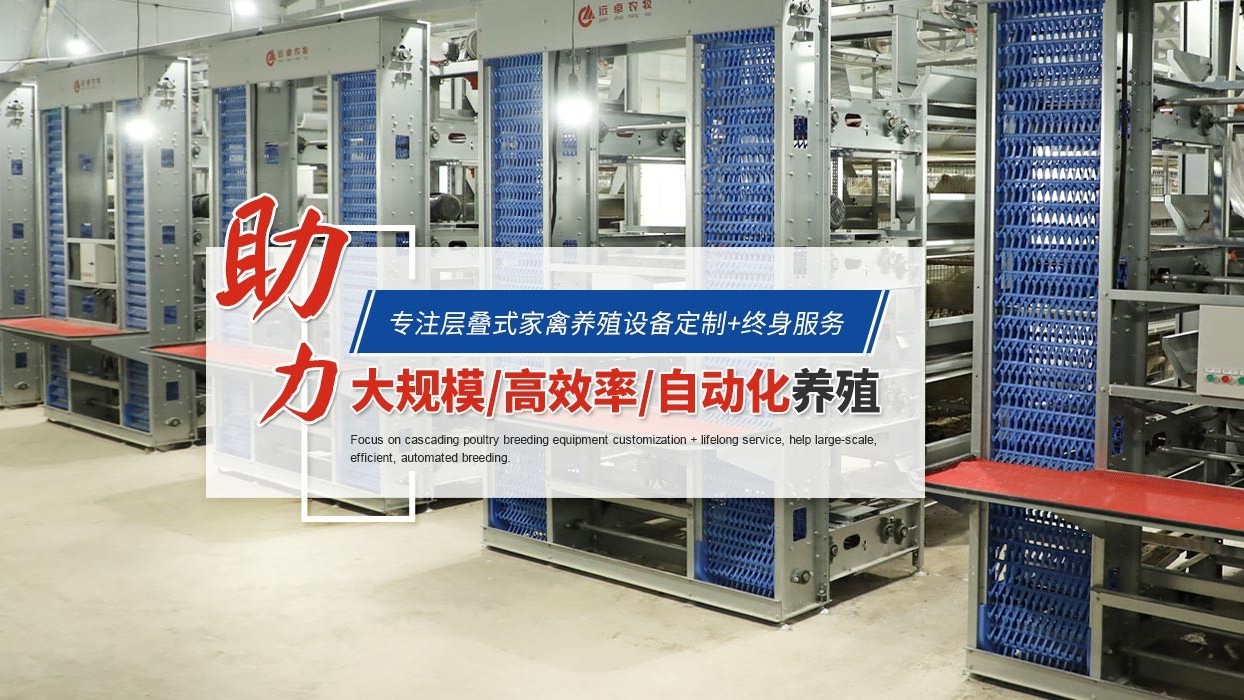 夜間該不該用濕簾？遠卓農(nóng)牧蛋雞養(yǎng)殖自動化設(shè)備簡單說兩句