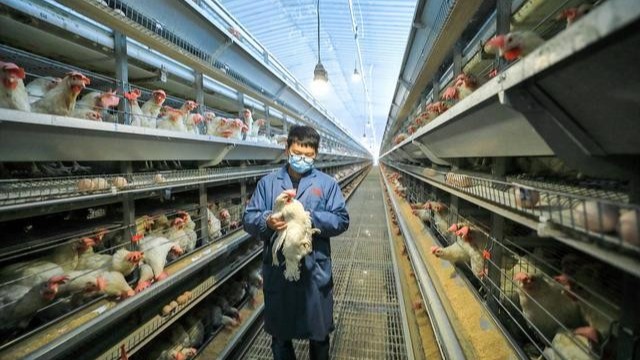 專家解讀 | 中央一號(hào)文件首提“農(nóng)業(yè)新質(zhì)生產(chǎn)力”