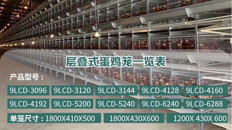 籠養(yǎng)蛋雞應(yīng)該如何選擇合適的雞籠？