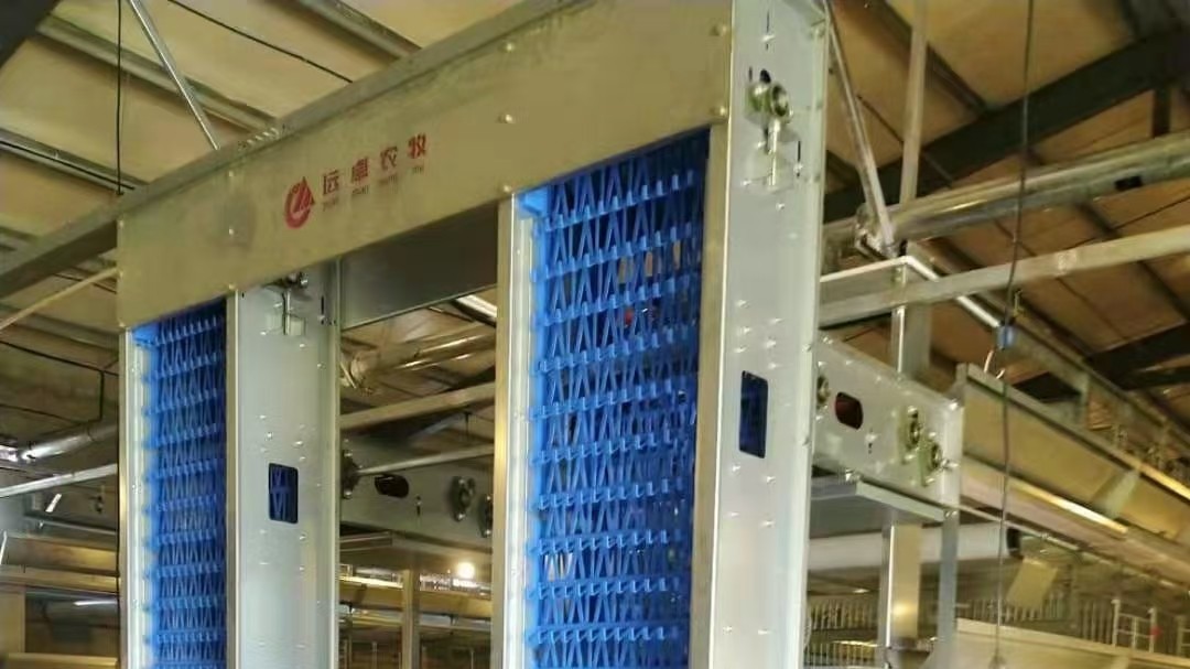 高溫來臨，如何讓蛋雞吃的好，產(chǎn)蛋多