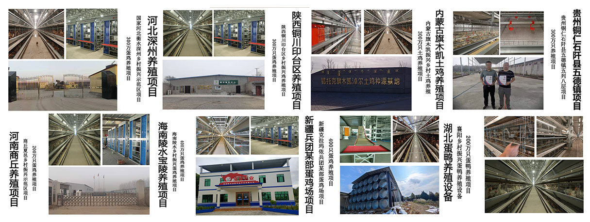 自動化養(yǎng)殖設備